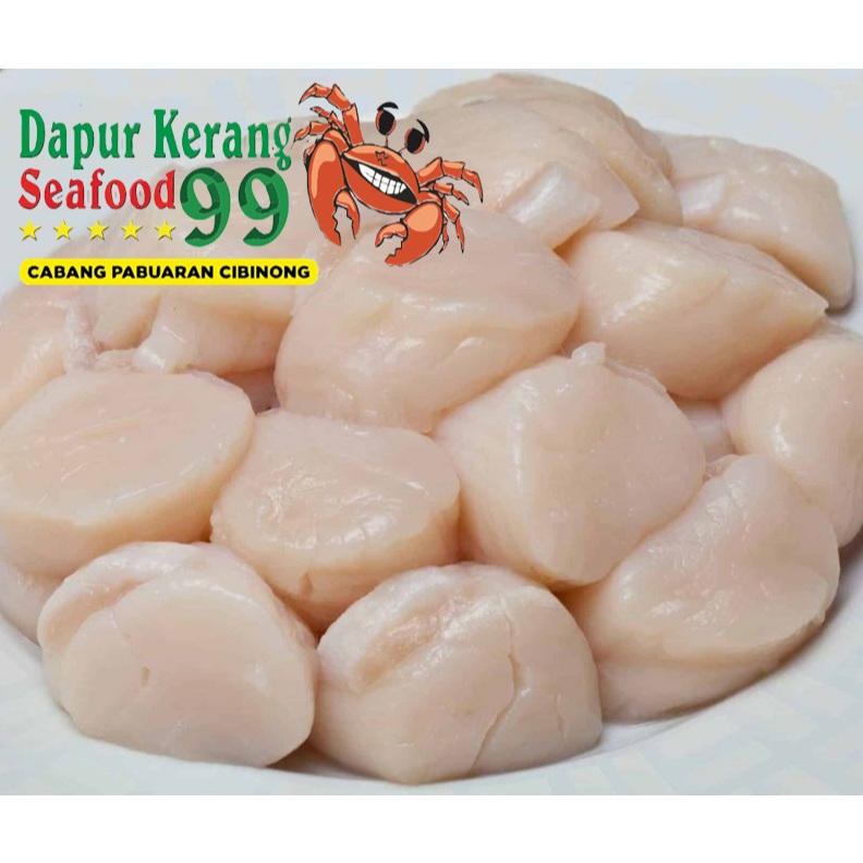 

Daging Kerang Kampak 1000gr 1kg Frozen