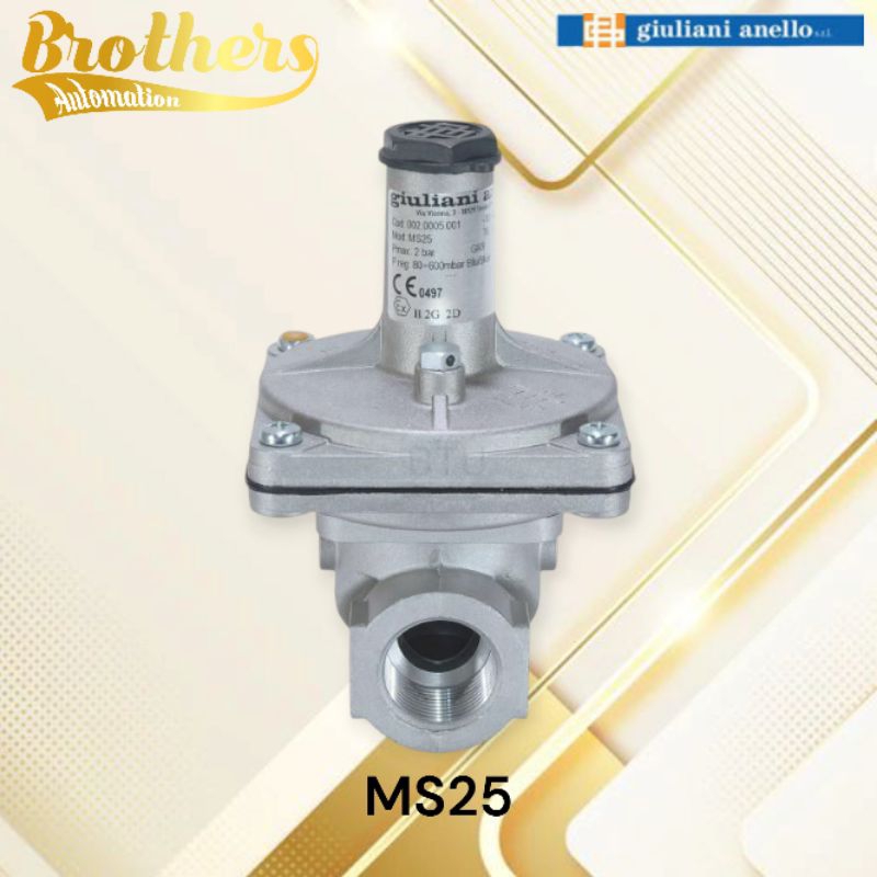 GIULIANI ANELLO MS25 Gas Regulator