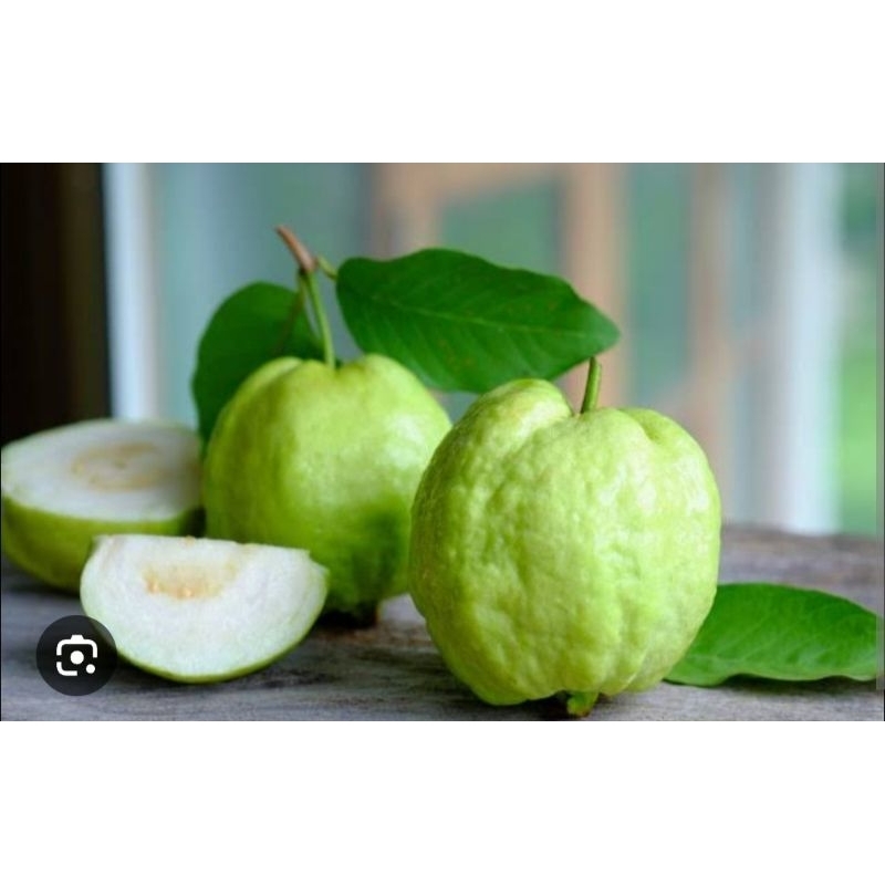 

Jambu kristal 1 kg