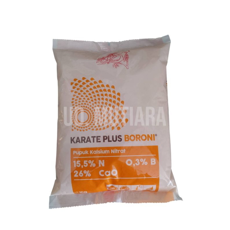 KARATE PLUS BORONI