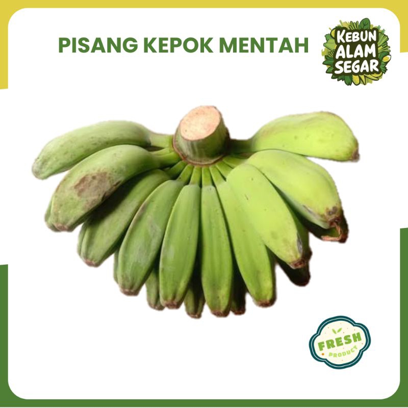 

PISANG KEPOK MENTAH SEGAR 1KG
