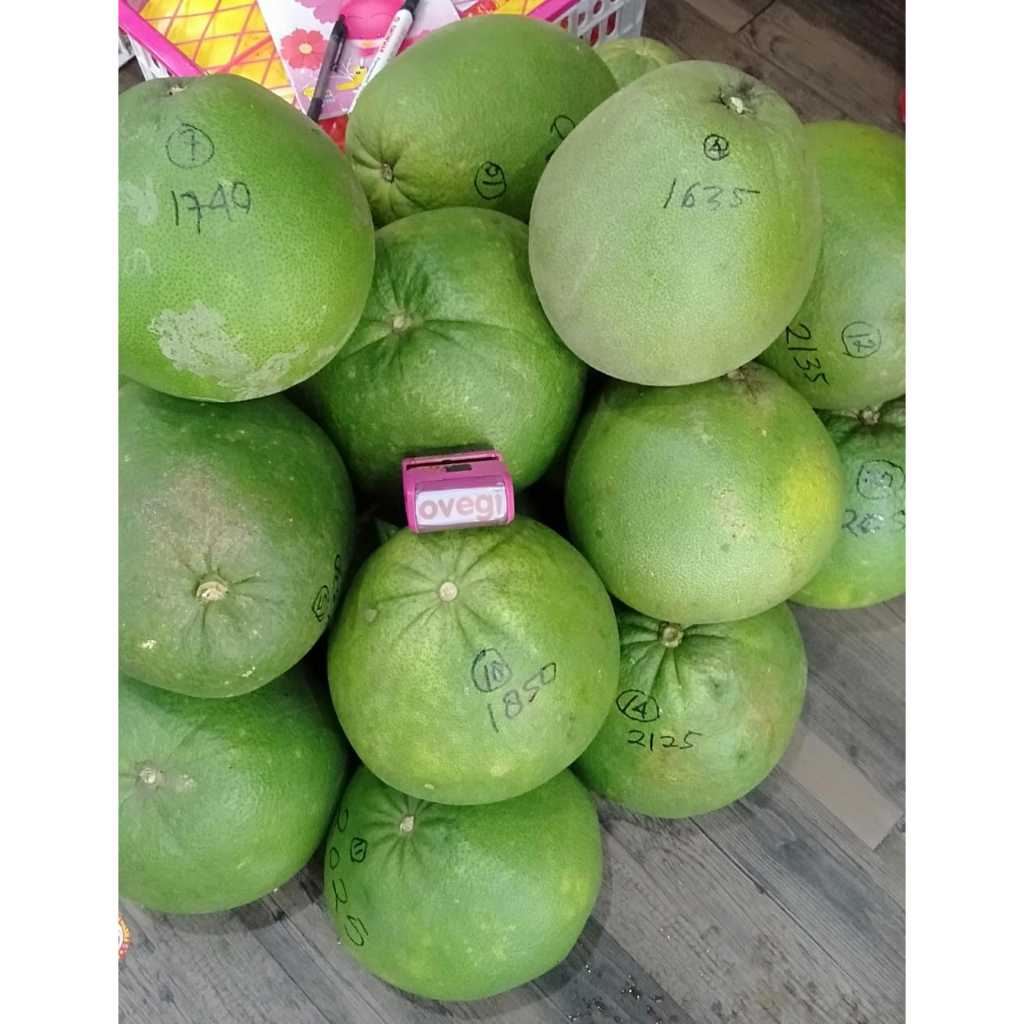 

PAMELO MADU ASLI PATI/PAMELO LOKAL/PAMELO LOKAL PREMIUM 1 PCS