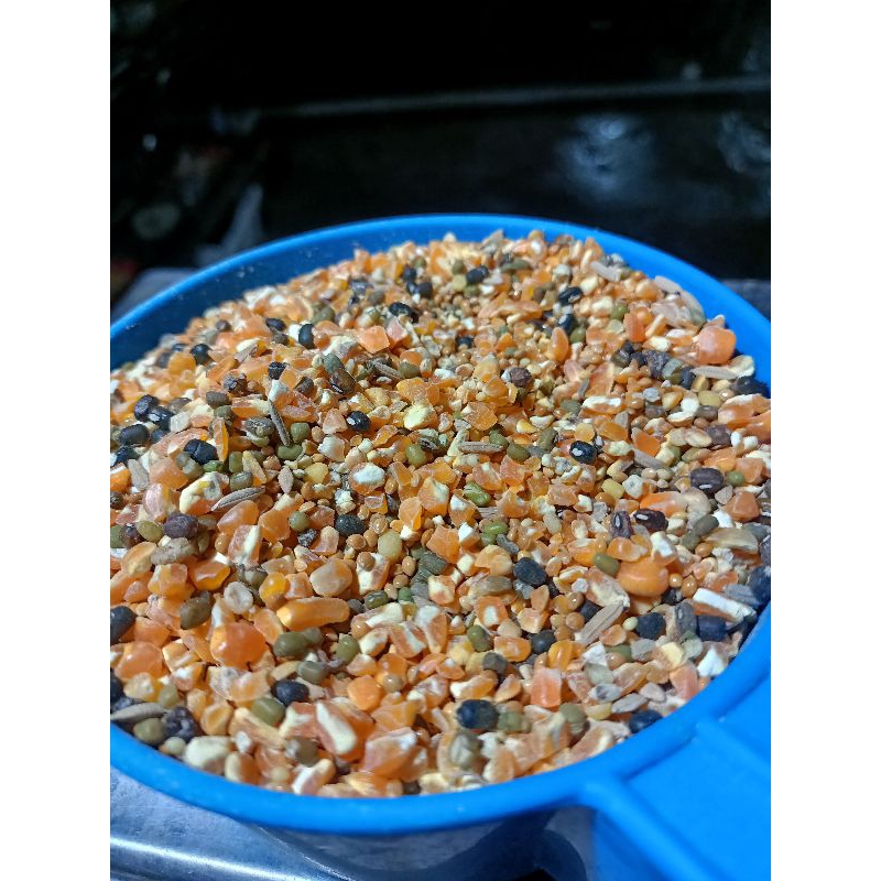 

JAGUNG CAMPUR KOMPLITT 1 KG PAKAN BURUNG DARA DAN AYAM