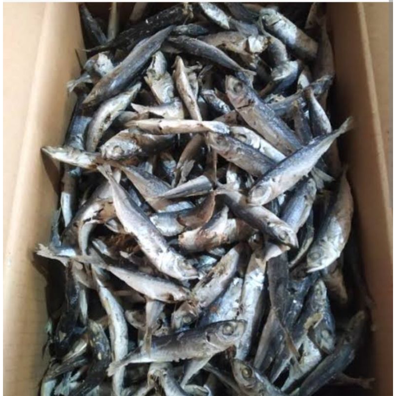 

ikan asin rebus layang Balur ikan layang/sarden
