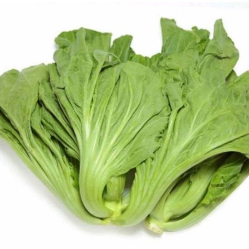 

sawi pahit/sawi jebung