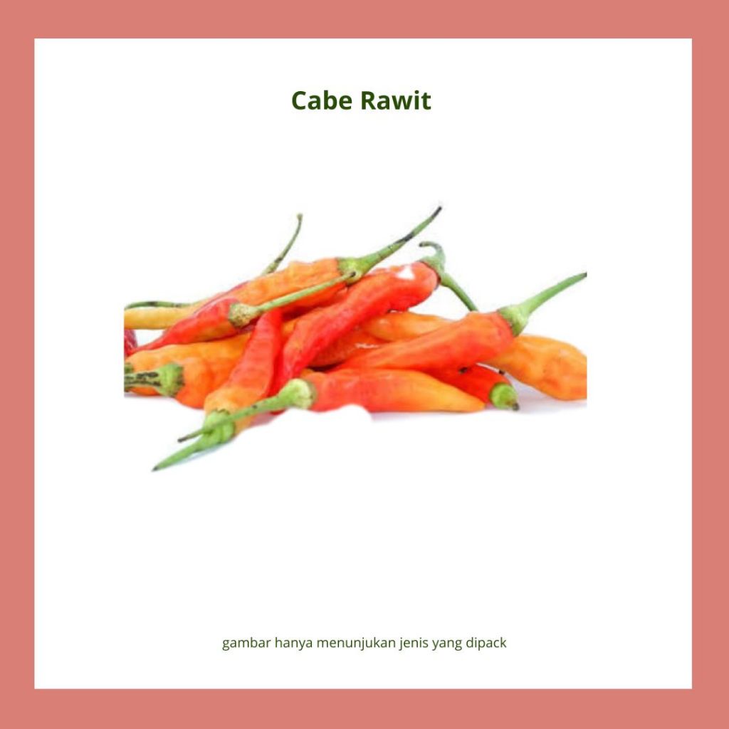 

cabai rawit merah segar