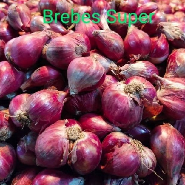 

Bawang merah Brebes Asli gede Super 1kg