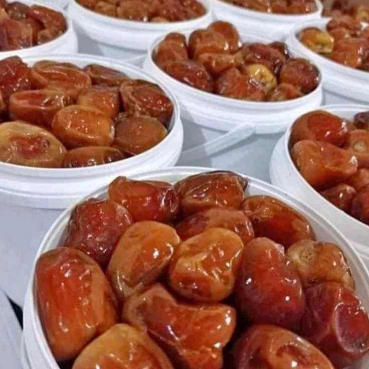 

COD kurma sukari ember 8gr Al qasimkurma sukari Al qassim