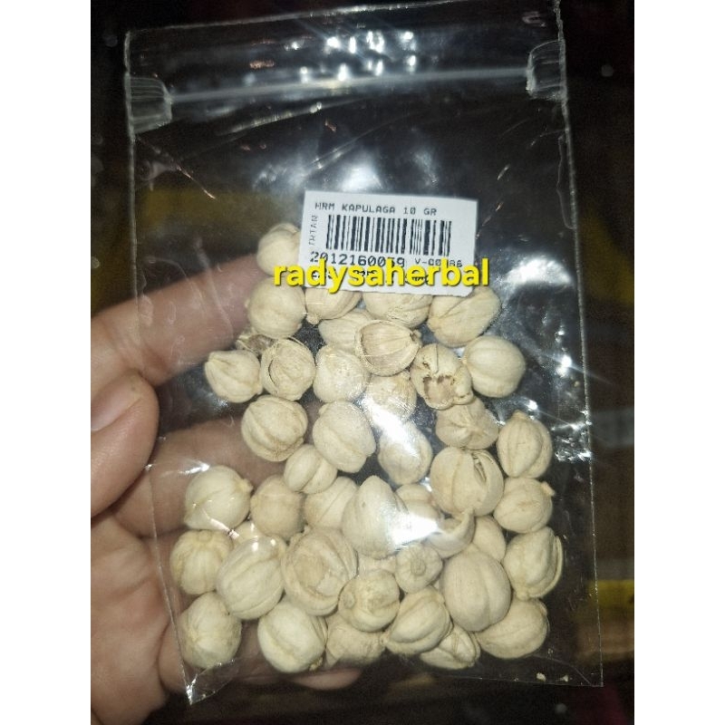 

KAPULAGA KERING PREMIUM 100% ALAMI CARDAMOM