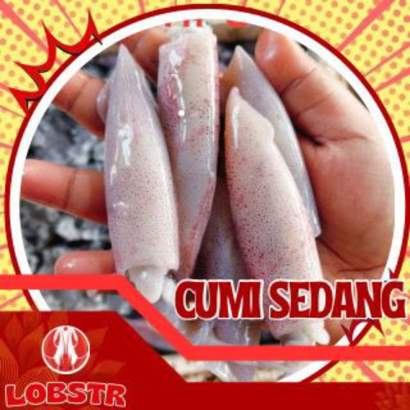 

Cumi-cumi sedang Beku – Kualitas Ekspor 500gr | Fresh & Siap Masak