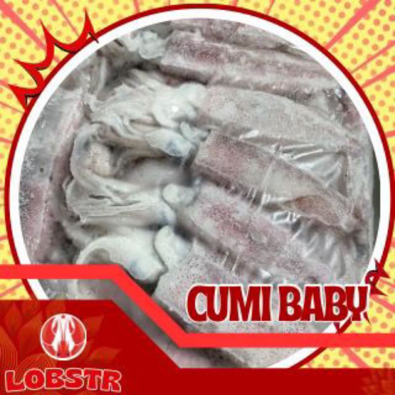 

Cumi-cumi kecil Beku – Kualitas Ekspor 500gr | Fresh & Siap Masak