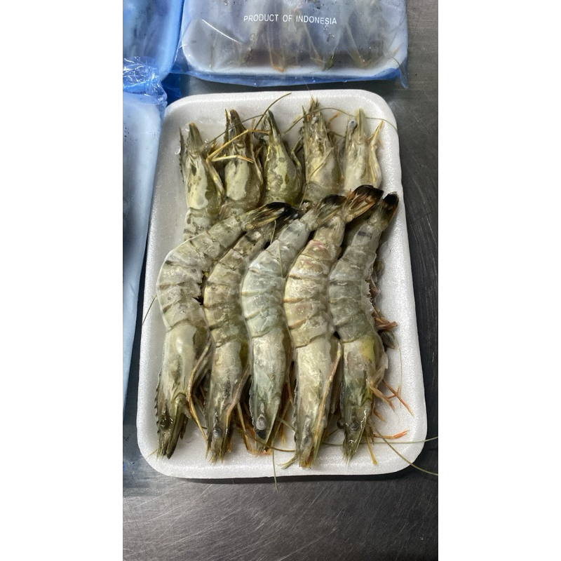 

Udang Tiger Laut Utuh Beku – Grade Ekspor