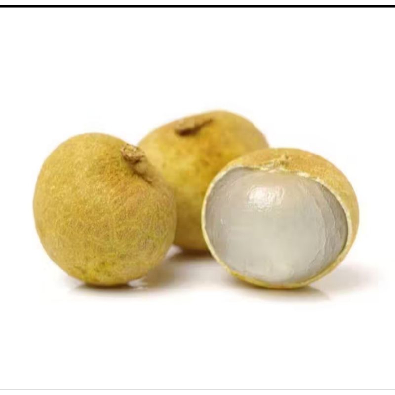 

kelengkeng gold 1kilo 50.000