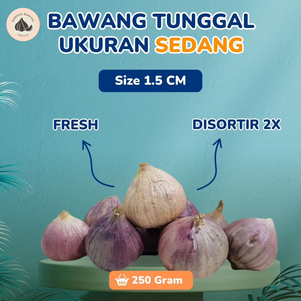 

Bawang Putih Tunggal Lanang SEDANG 250 Gram Ukuran 1.5 Cm