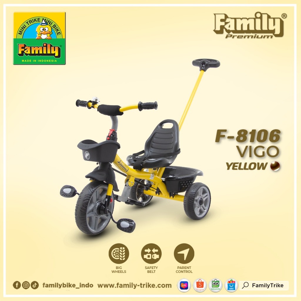 INSTANT SAMEDAY - Sepeda Anak Roda 3 Family Tricycle F-8106 VIGO ORIGINAL