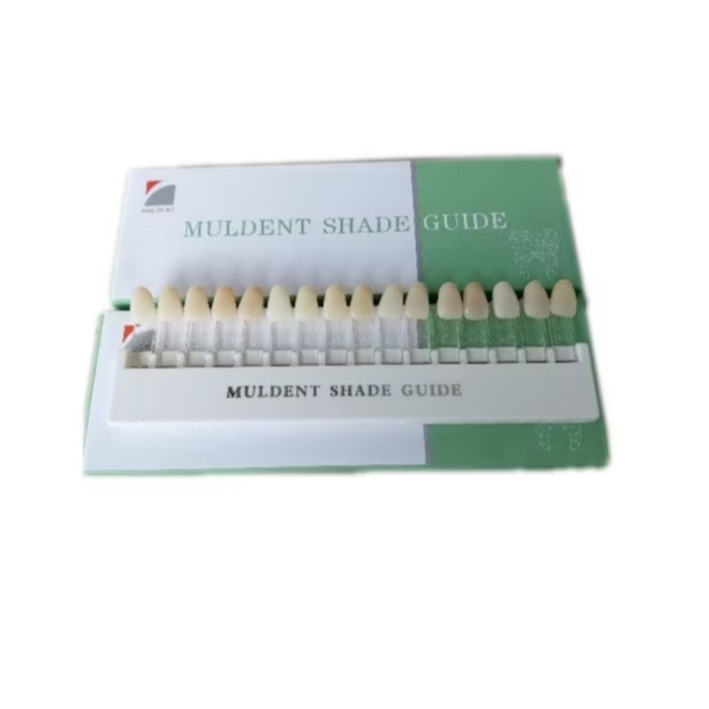 Contoh Gigi Vita Muldent Shade Guide