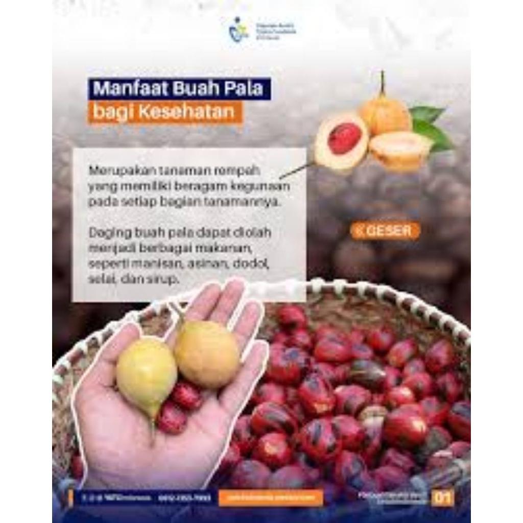 

1 kg buah pala segar di Jamin freshhh dadakan