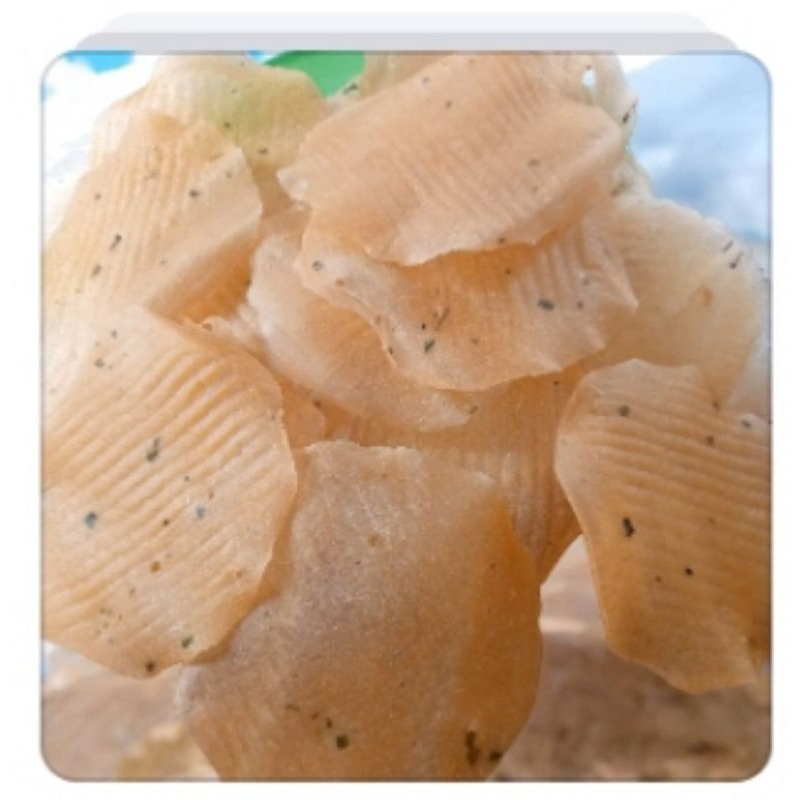 

Opak Singkong Gurih&Renyah uk 14_16cm.1kg Harga Promo