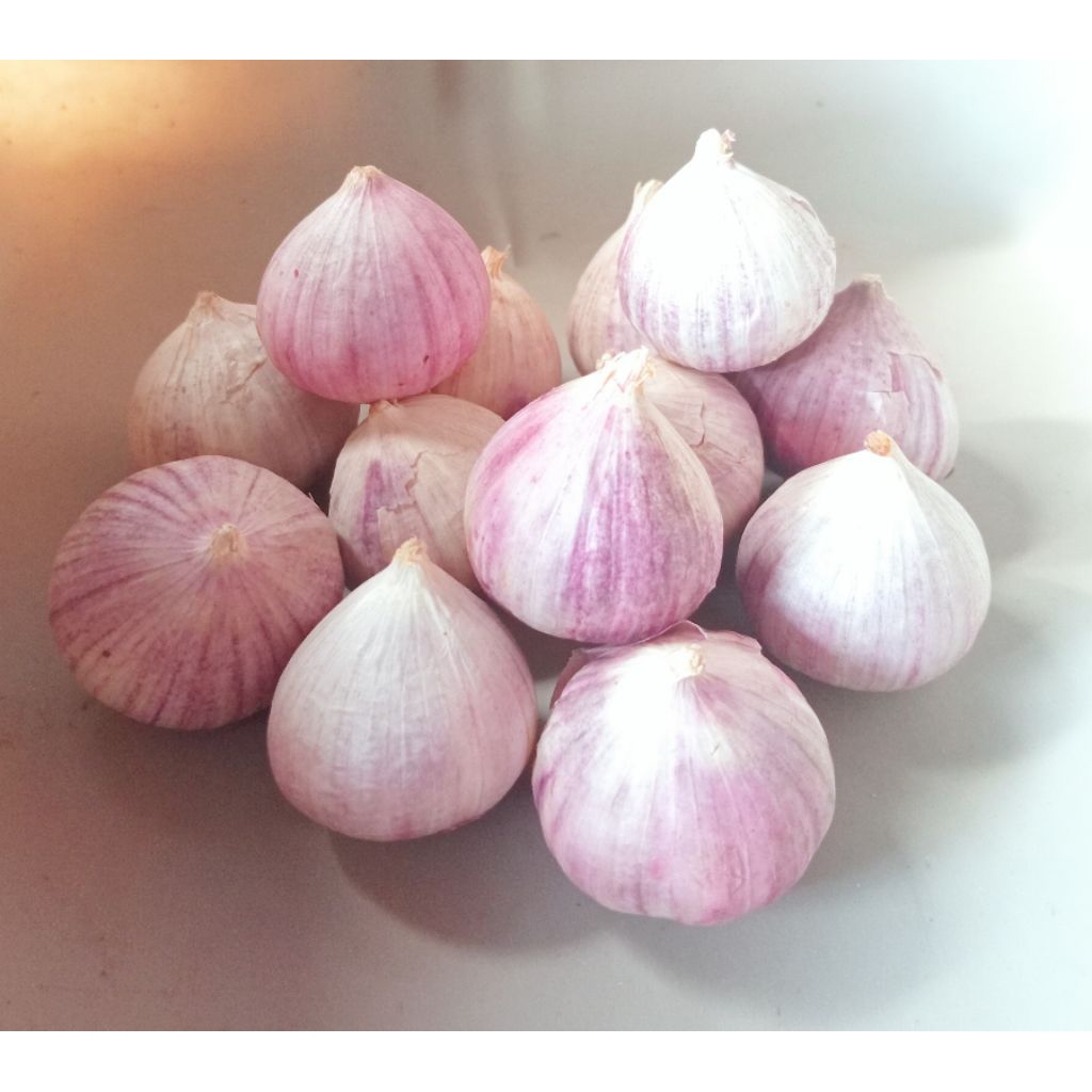 

1 KG BAWANG PUTIH TUNGGAL - BAWANG PUTIH LANANG