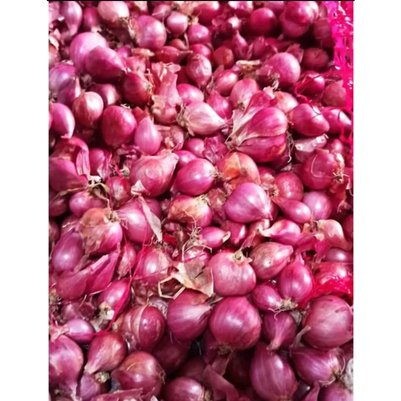 

30ribu(1kg) bawang merah ukur sedang sudah bersih dan kering siap pakai