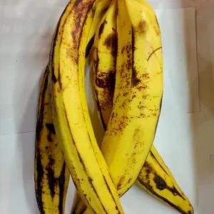 

pisang tanduk