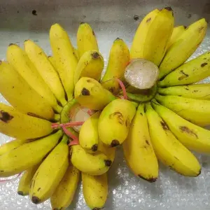 

pisang mas