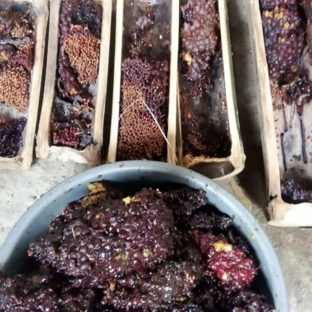 

Madu Sarang Klanceng Trigona lanceng kelulut asli murni 300gram