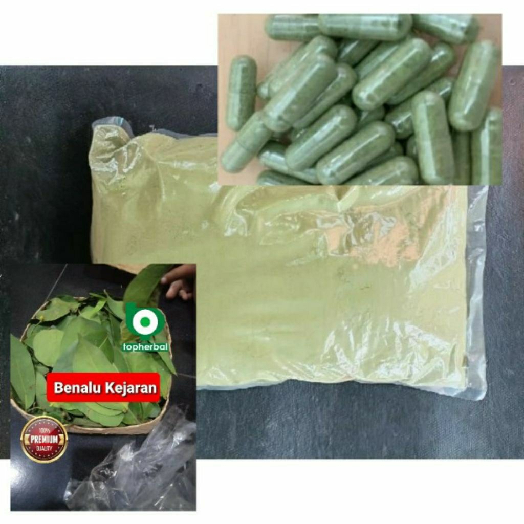 

Kapsul Benalu Kejaran isi 100 Kapsul (Kering Hijau Organik Super Premium)