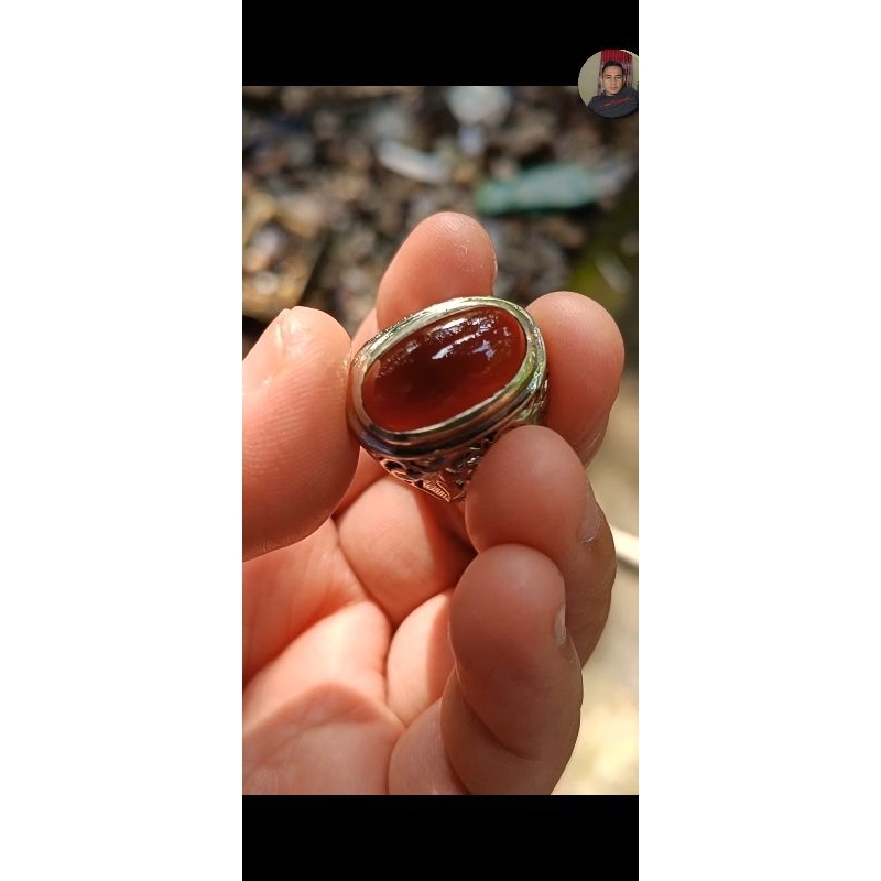 baru akik red raflesia