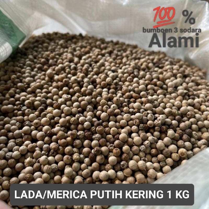 

Lada Merica putih Butir kering 1 kg