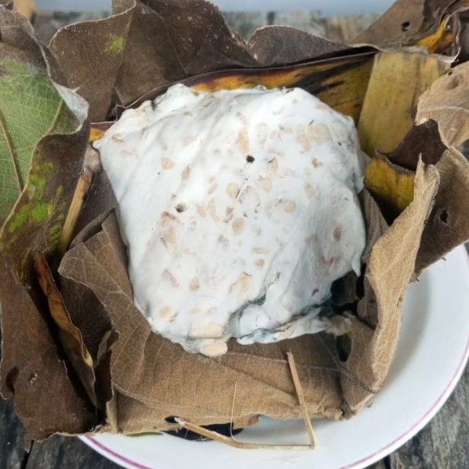 

Tempe daun jati,tempe bungkus daun jati