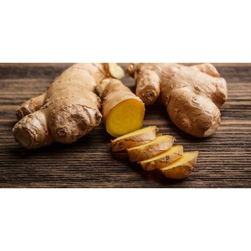 

Jahe Putih Gajah Besar Premium Siap semai COD