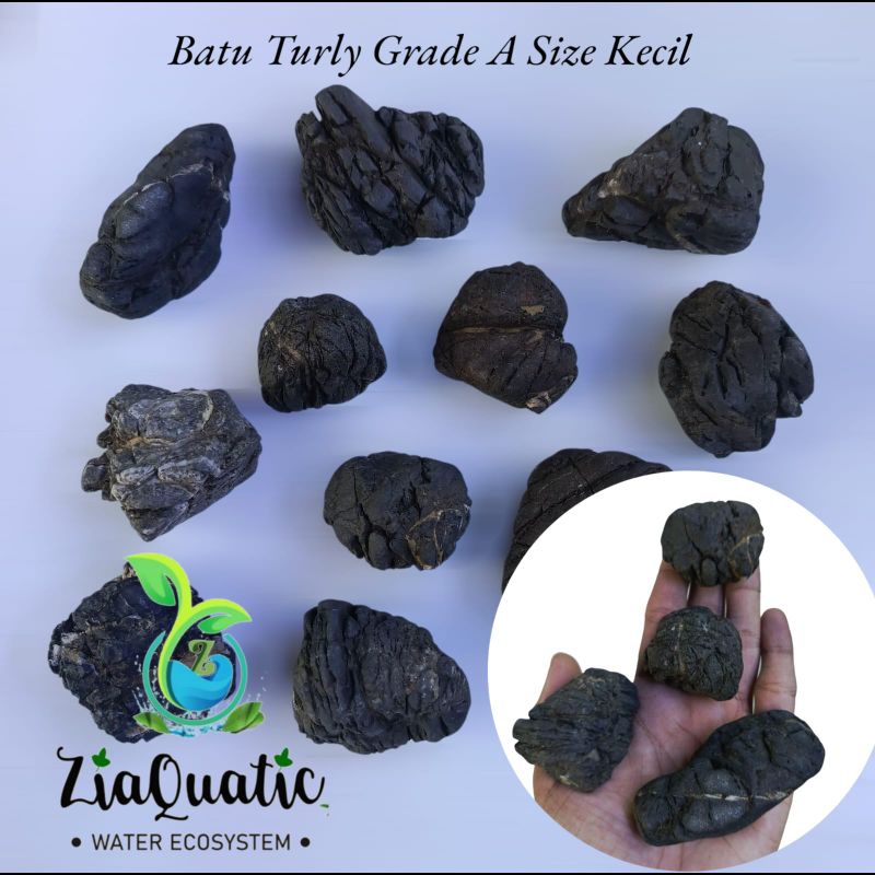 Batu Terrarium Aquascape Paludarium - Batu Turly Grade A Size Kecil