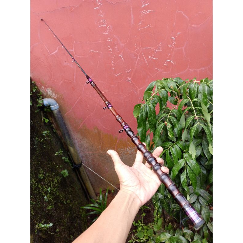 joran besutan ring fuji