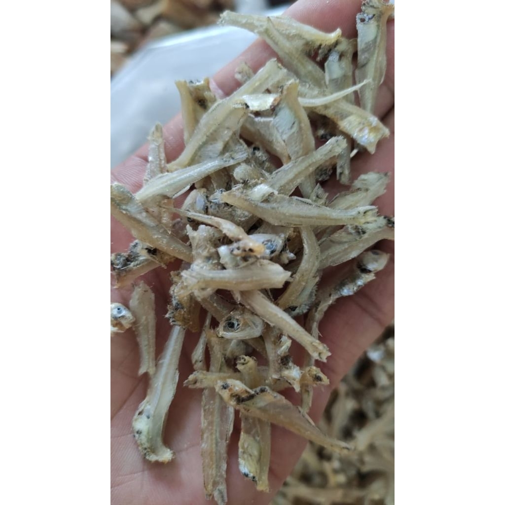 

ikan Teri bilis gepeng tidak asin 250gr asli dari kelong tanjung pinang