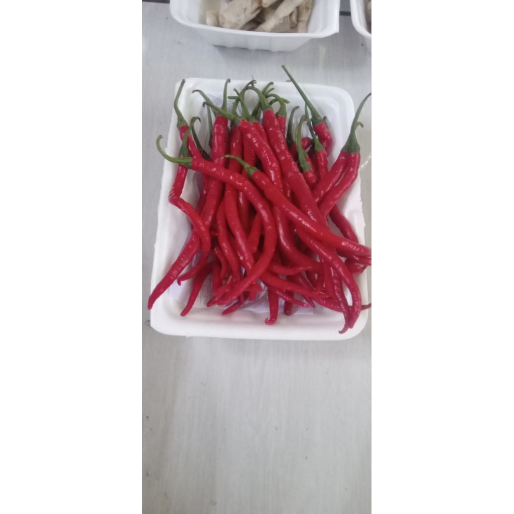 

cabe merah kriting