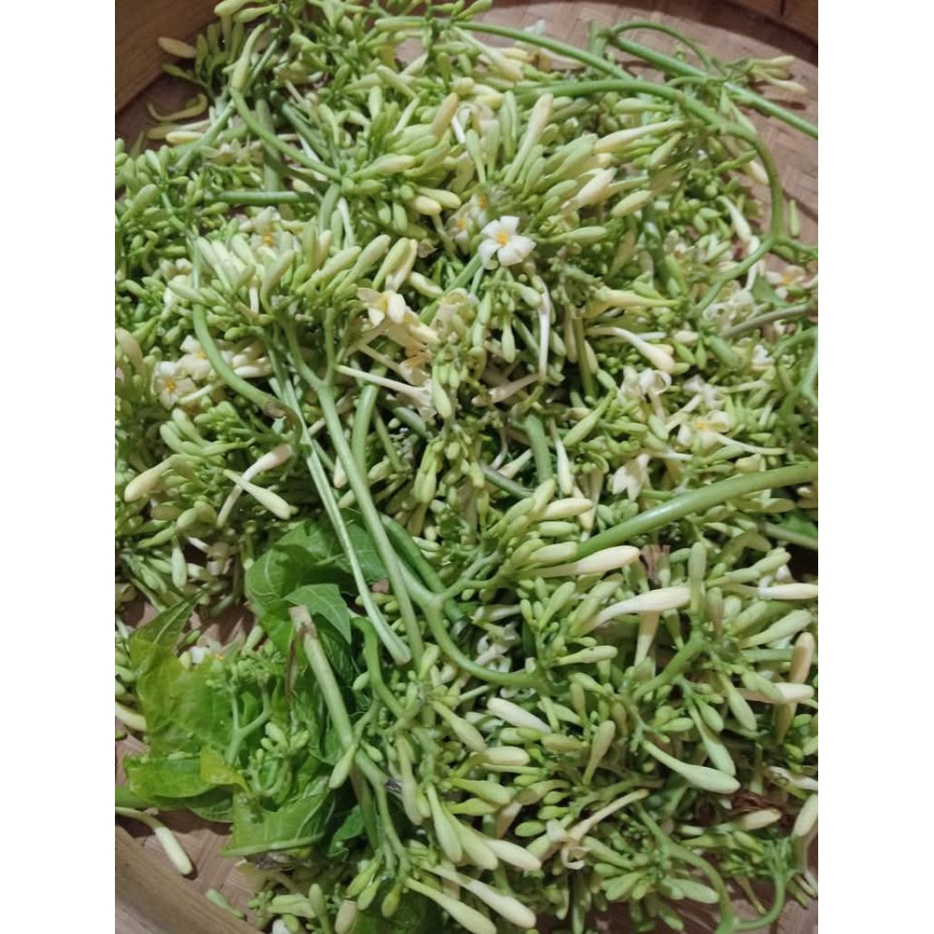 

bunga pepaya 250gr