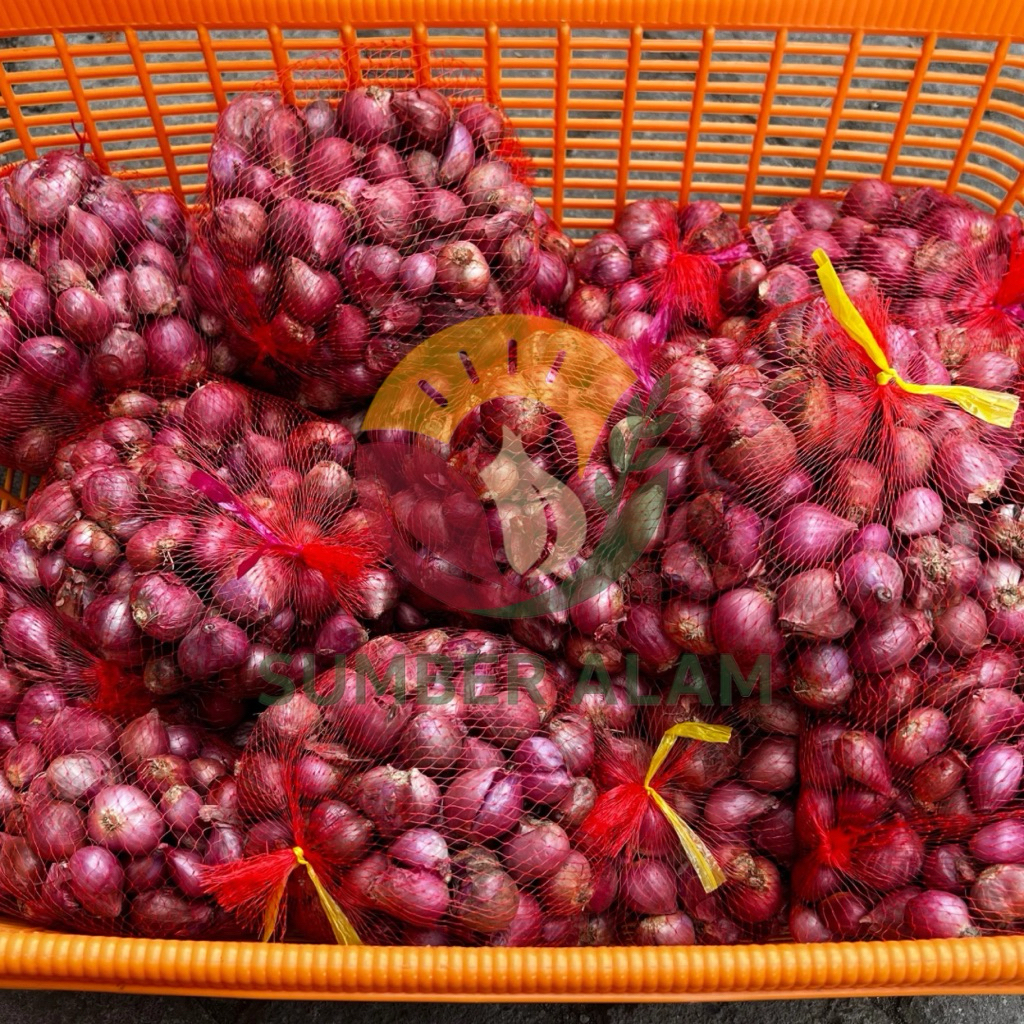 

Bawang Merah Lokal Brambang Besar Super Free Jaring