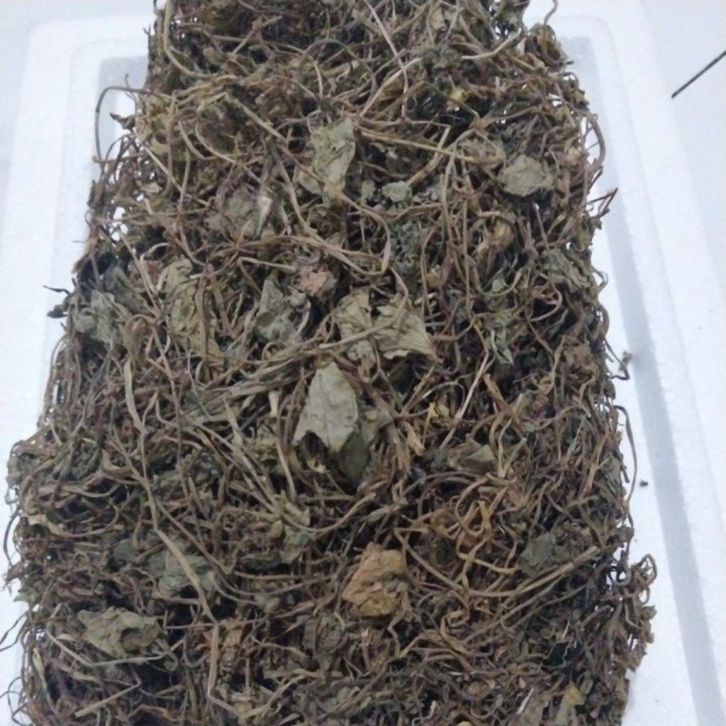 

Herbal Daun Pegagan/Daun Antanan Kering, 100gr