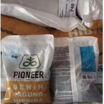 PROMO COD BENIH JAGUNG HIBRIDA PIONEER P40 FAMILY 1KG ORIGINAL