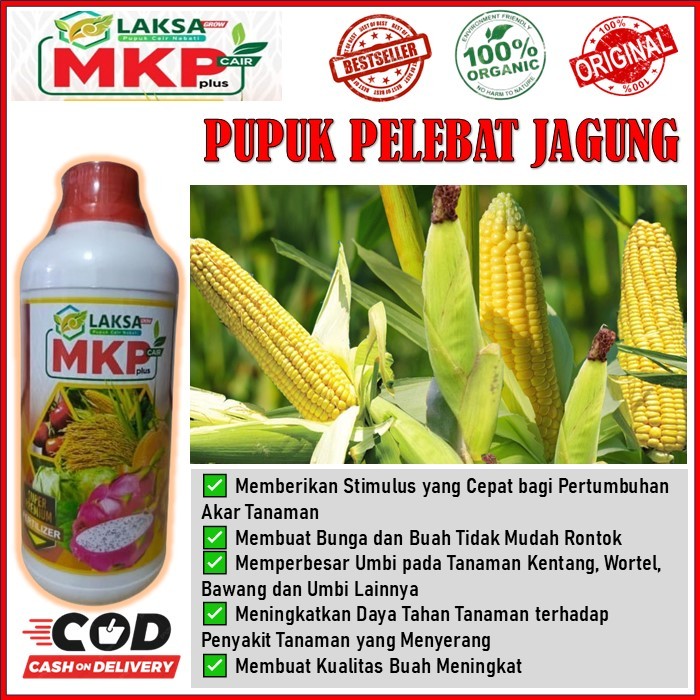 MKP Cair Plus LAKSA GROW Pupuk Organik Pelebat Jagung manis - Obat semprot melebatkan jagung terbaik