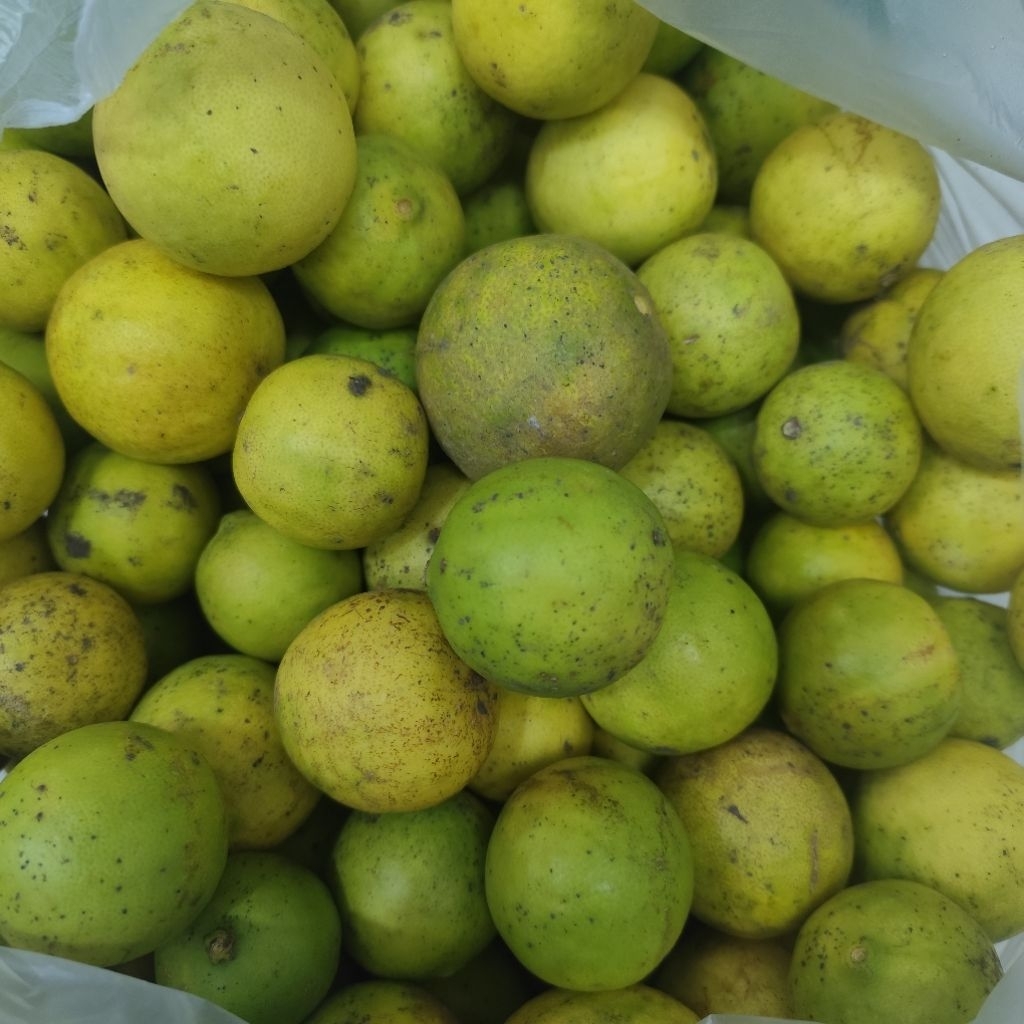 

Jeruk Nipis Segar 500 gr & 1 kg