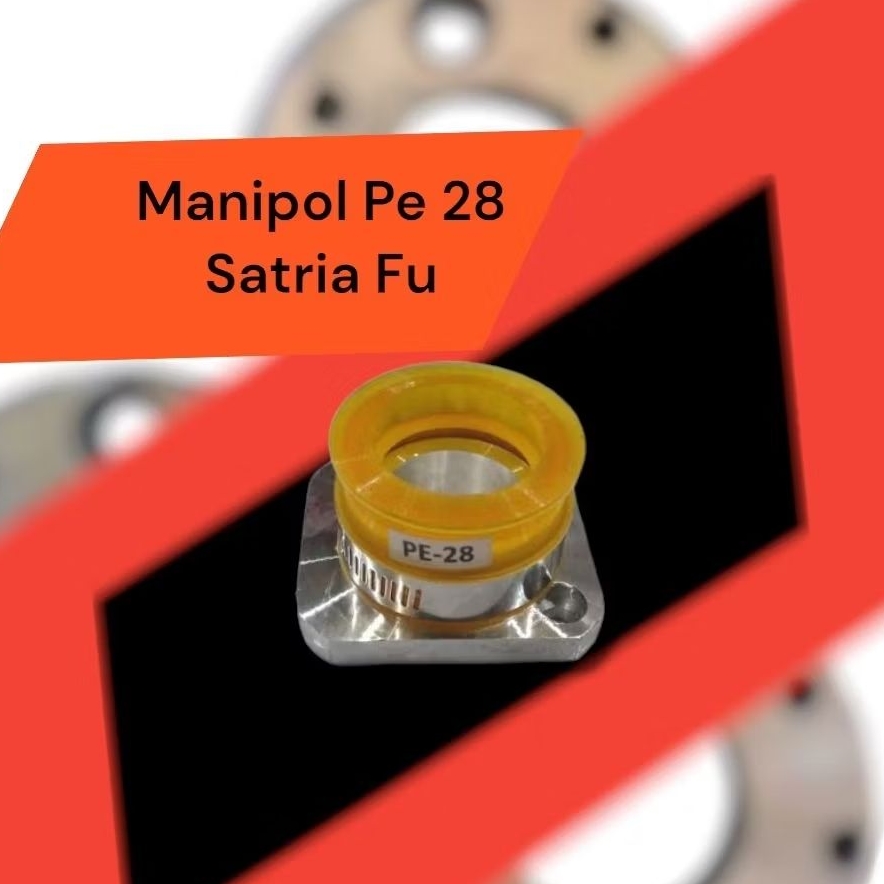 Manipol carbu pe 28 satria fu