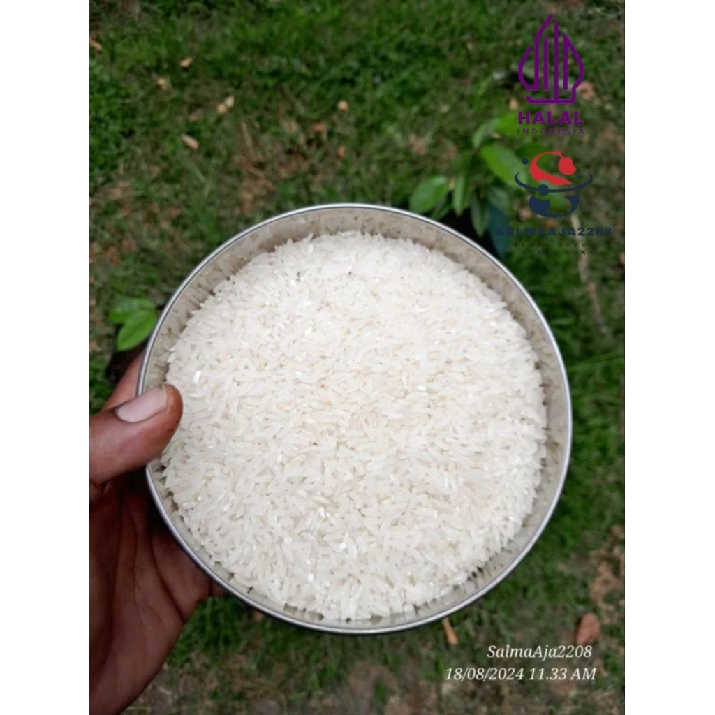 

Beras murah 1kg