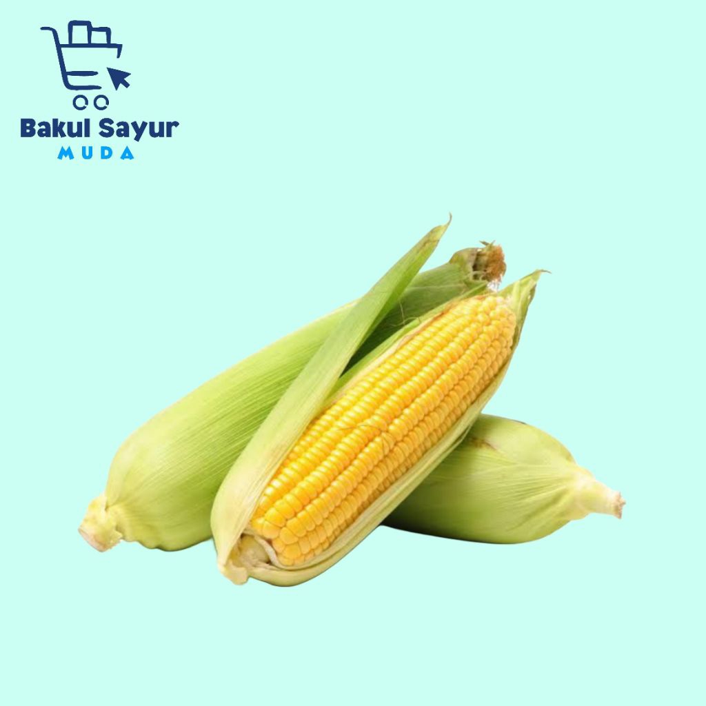 

Jagung Manis Segar (Perbiji)
