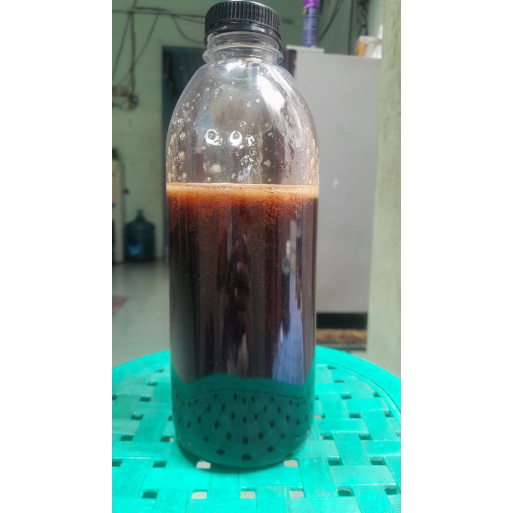 

madu hitam obat maag dan asam lambung