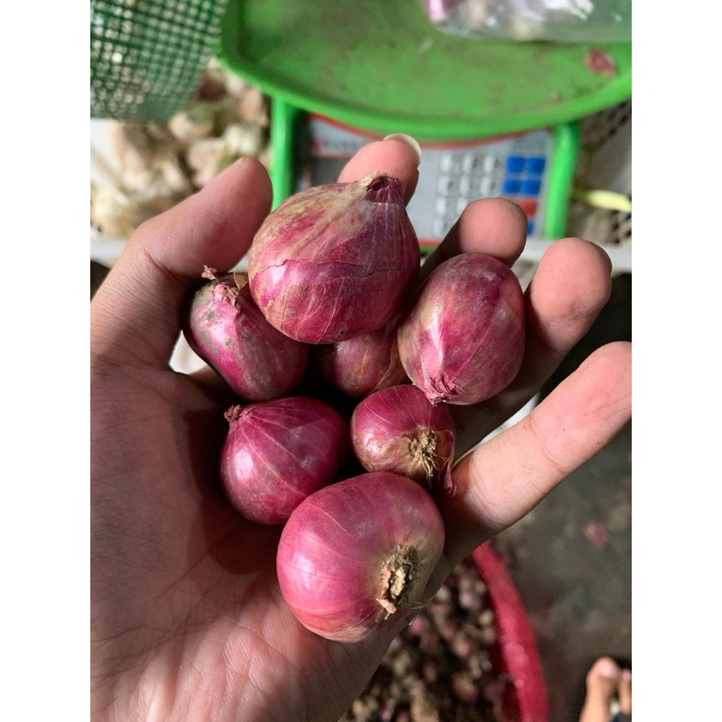 

Bawang Merah
