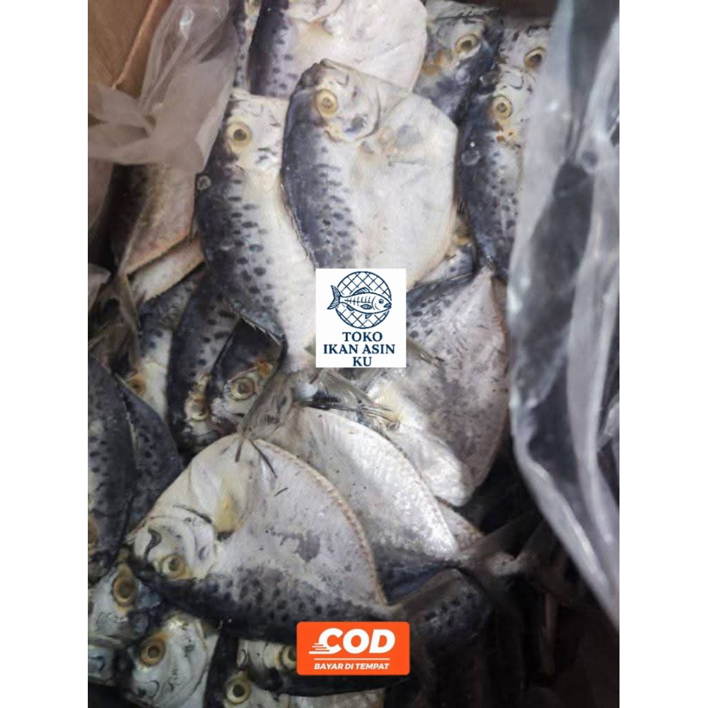 

Ikan Asin Cue Etem 250gr. Ikan Asin Fresh