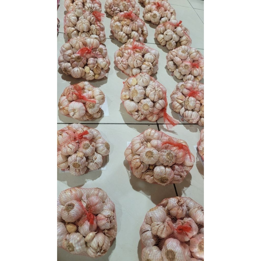 

Bawang putih 1kg fresh bersih