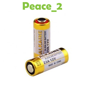 Alkalline Baterai 23A 12V - Baterai 12V A23 Baterai Alkaline Mini - Baterai Bell Pintu